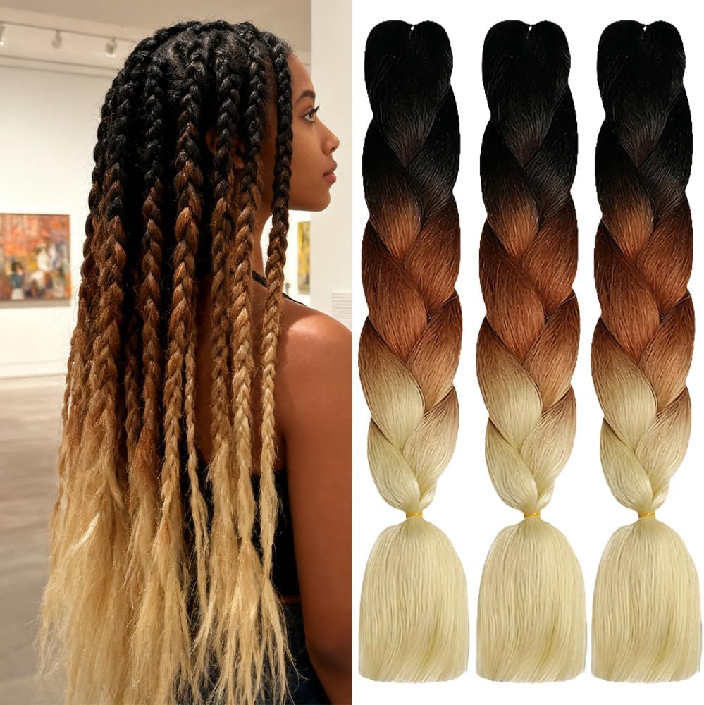 ShowJarlly - Ombre Jumbo Braids 24