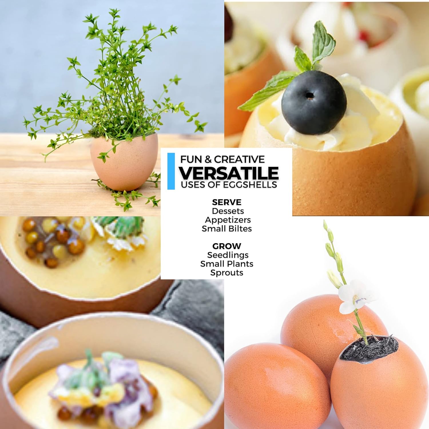 ICO - Coupe-œuf inox - coupe œuf coque - accessoires cuisine pratiques