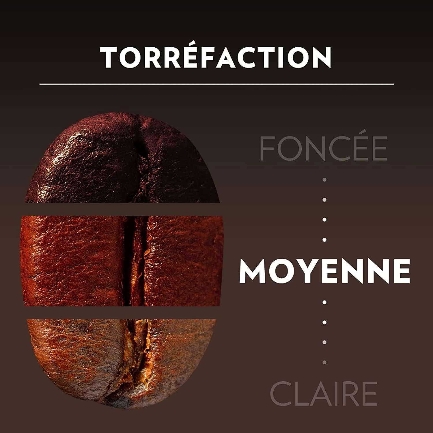 Lavazza - Espresso Barista Perfetto - 2x1kg café grain 100% arabica, intensité 6