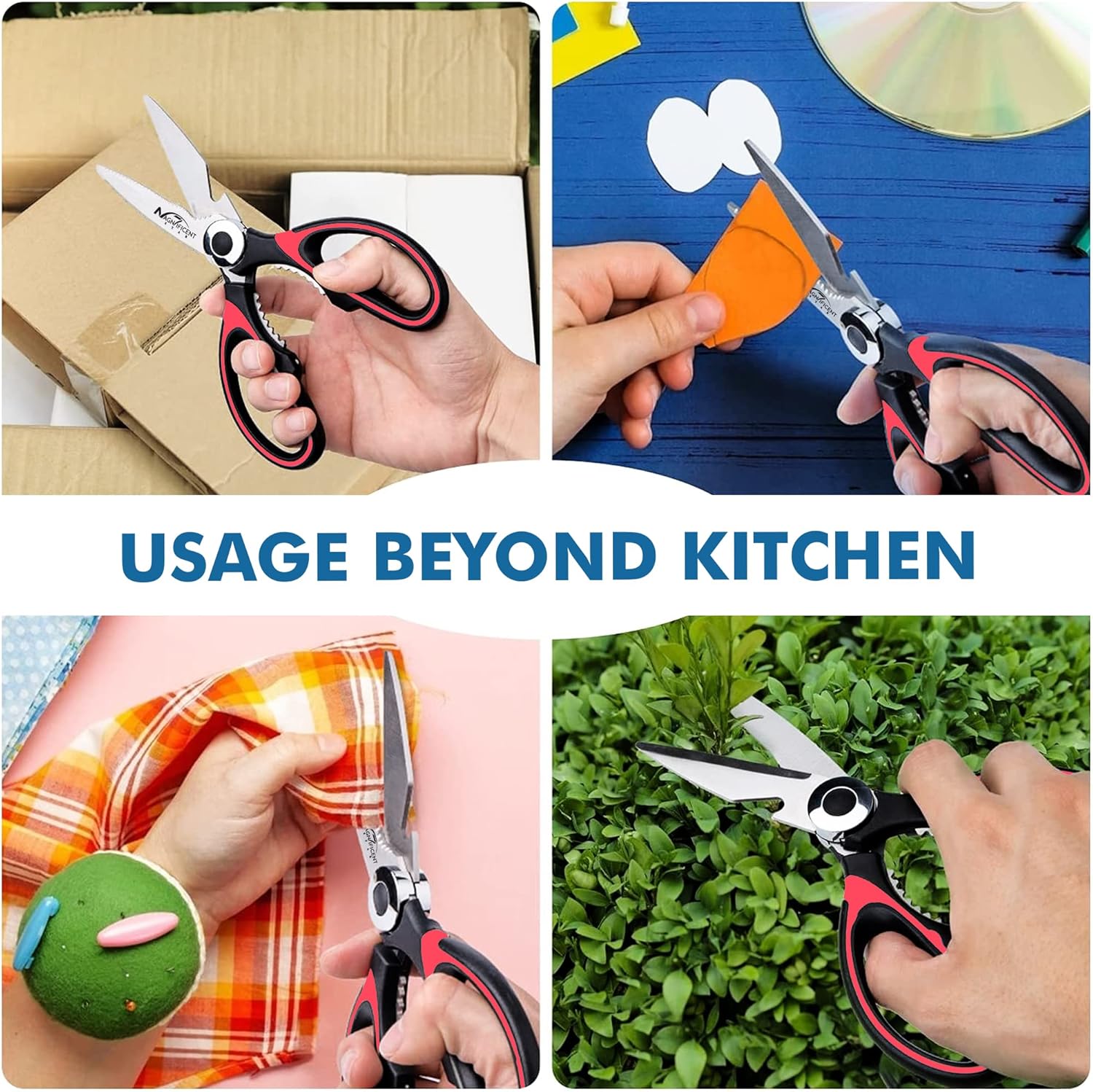 Ciseaux de cuisine – acier inoxydable, poignée confort, couvercle, multifonctions