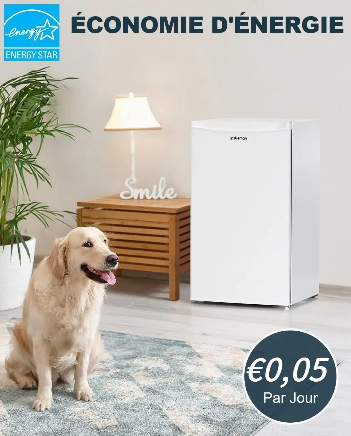 Upstreman - BR321 - 91L, silencieux, porte réversible, thermostat réglable