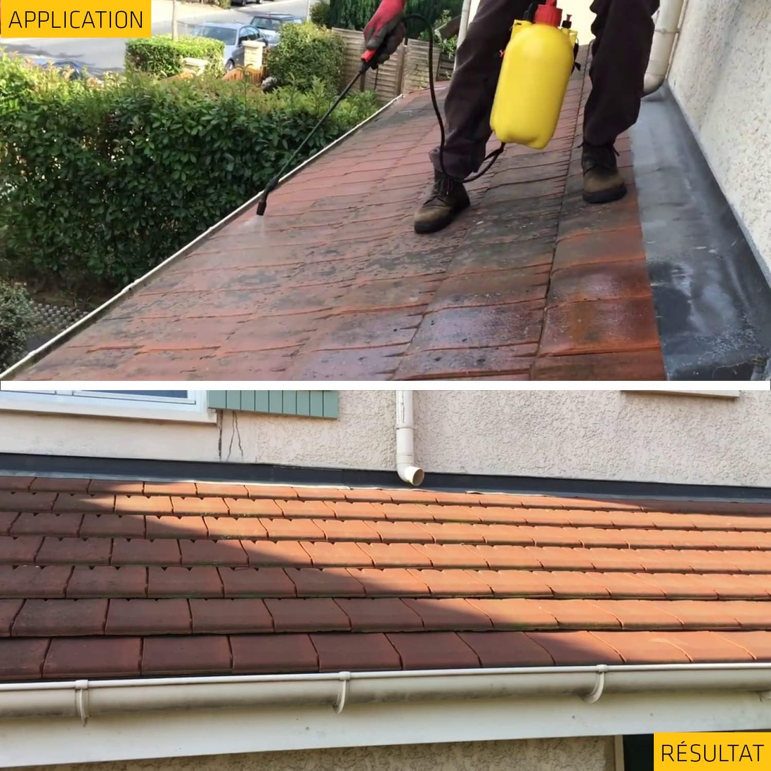 Sika - Sikagard 127 - 5L - traitement algicide et fongicide multisupports