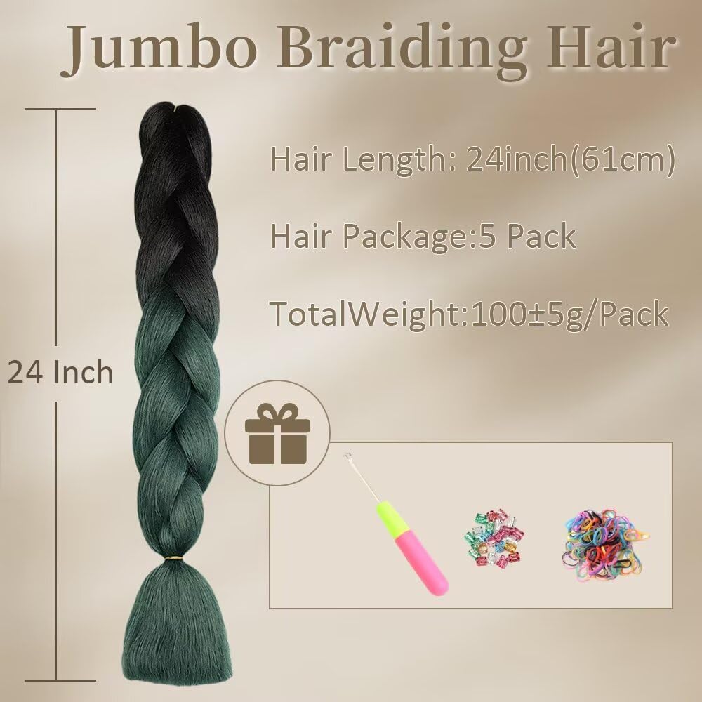 ShowJarlly - Ombre Jumbo Braids 24