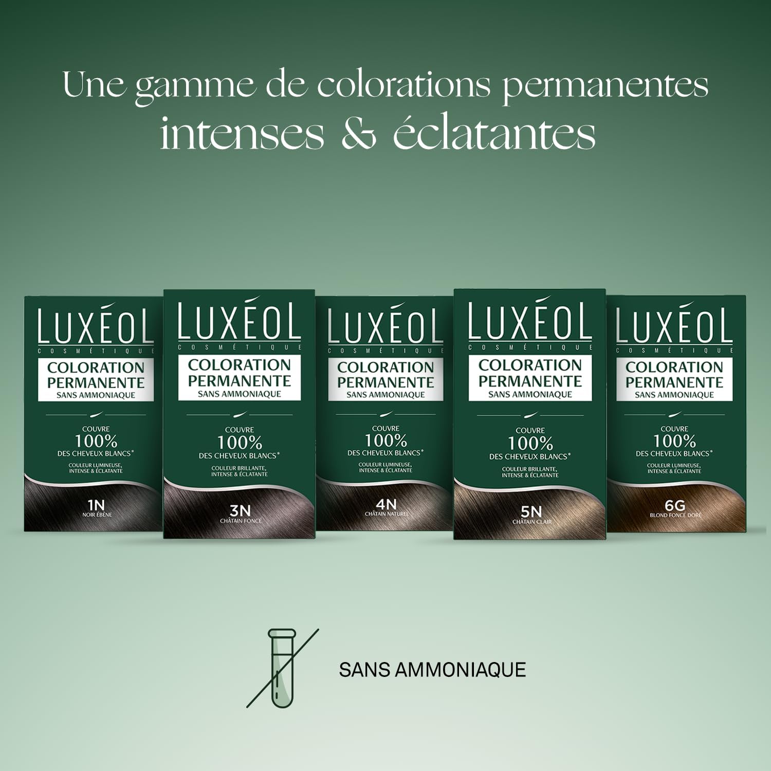 Luxéol - Coloration Permanente 1N - 60ml - Noir ébène, sans ammoniaque, couvre 100% cheveux blancs