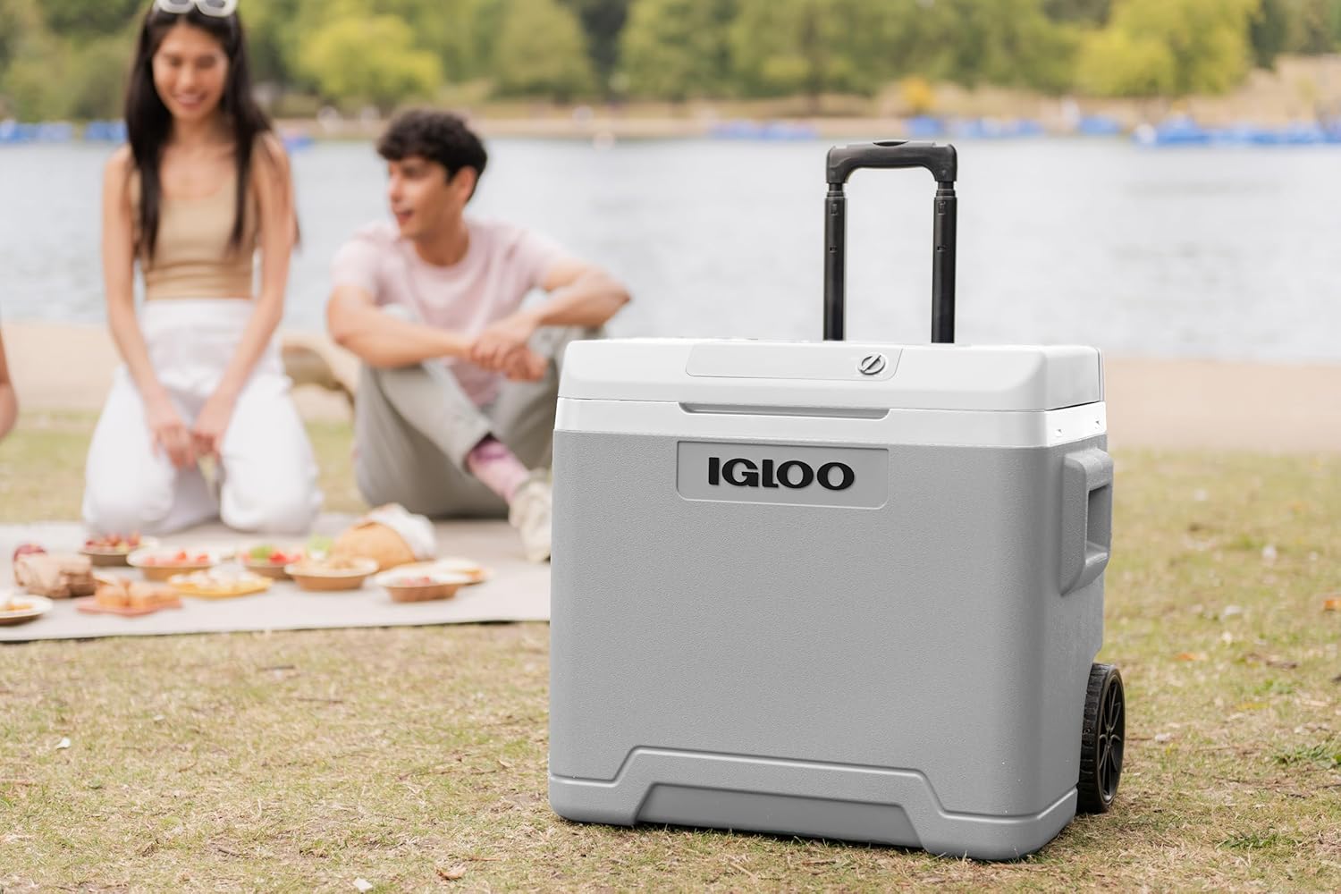 IGLOO - Glacière électrique portative - grande capacité, prise 12V