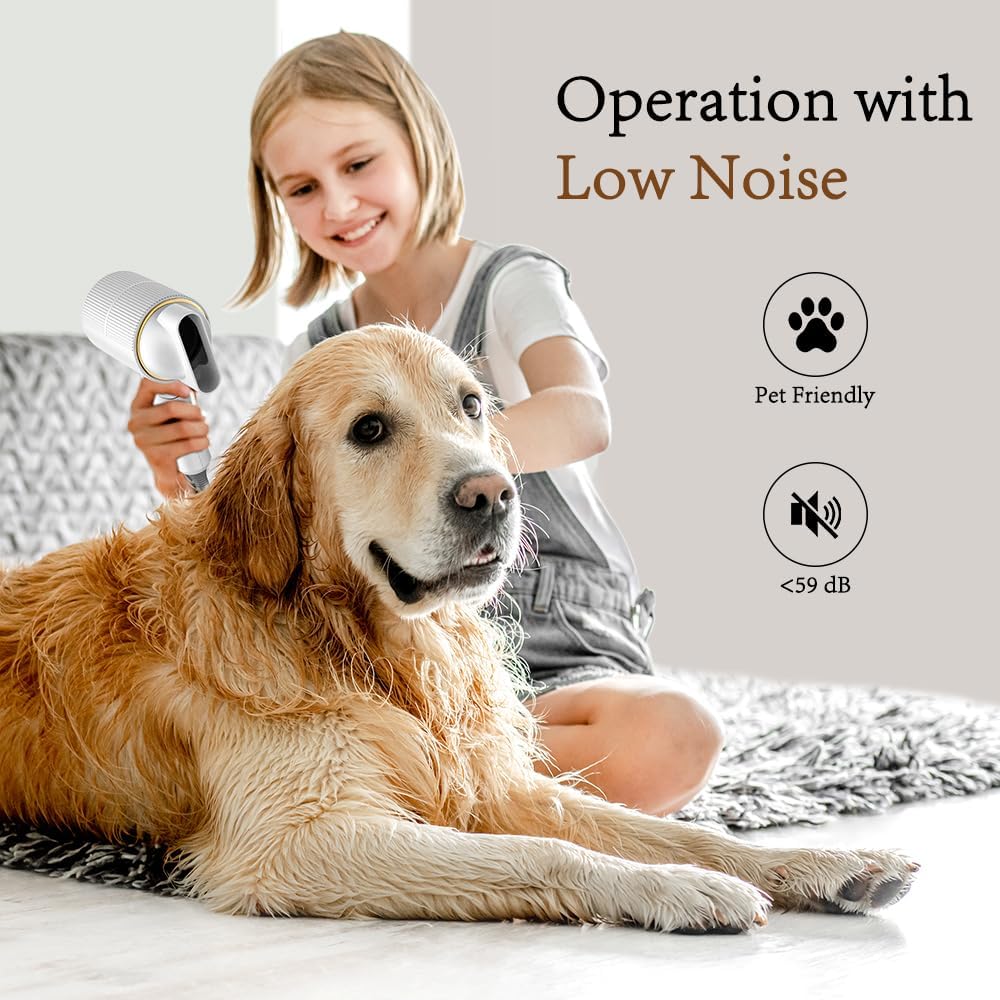 RESCIEN - Sèche-cheveux pliable série 2026 - 10x7x19cm - 2000W, ionique, 250g, concentrateur et diffuseur 2026