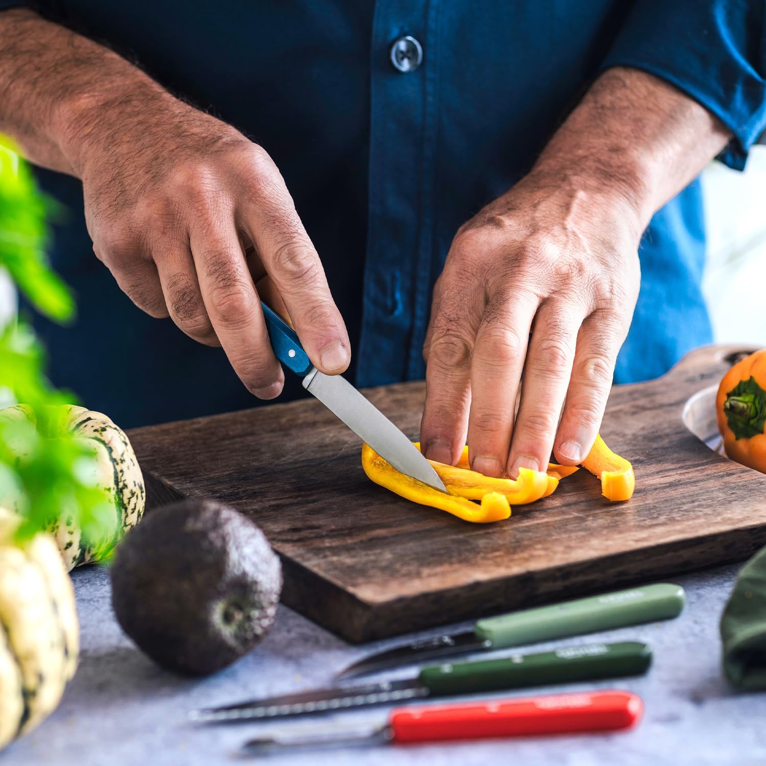 Opinel - Coffret 4 couteaux d’office N°112 - lame inox 10 cm - fabrication française