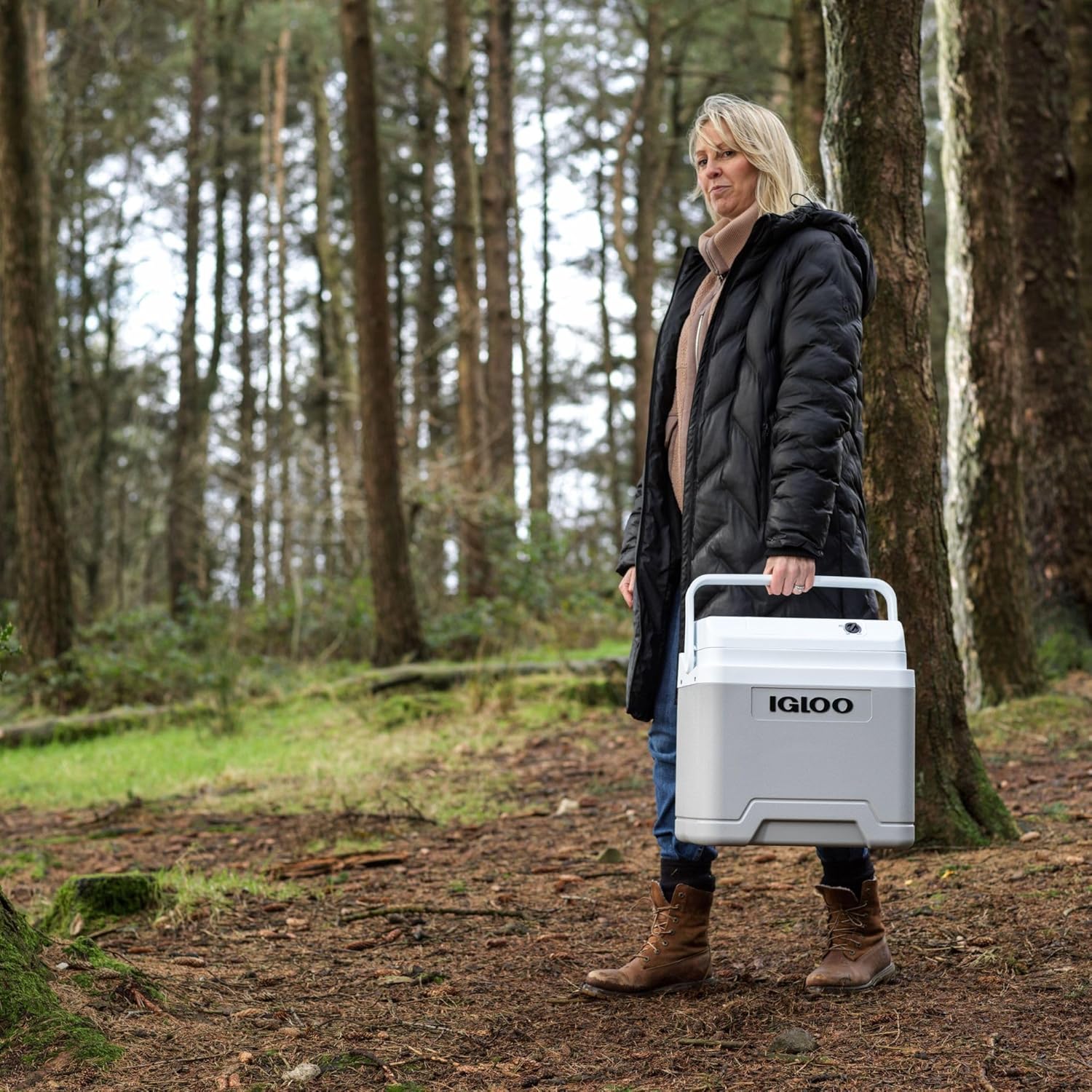 IGLOO - glacière électrique - compacte - maintien au frais et portable