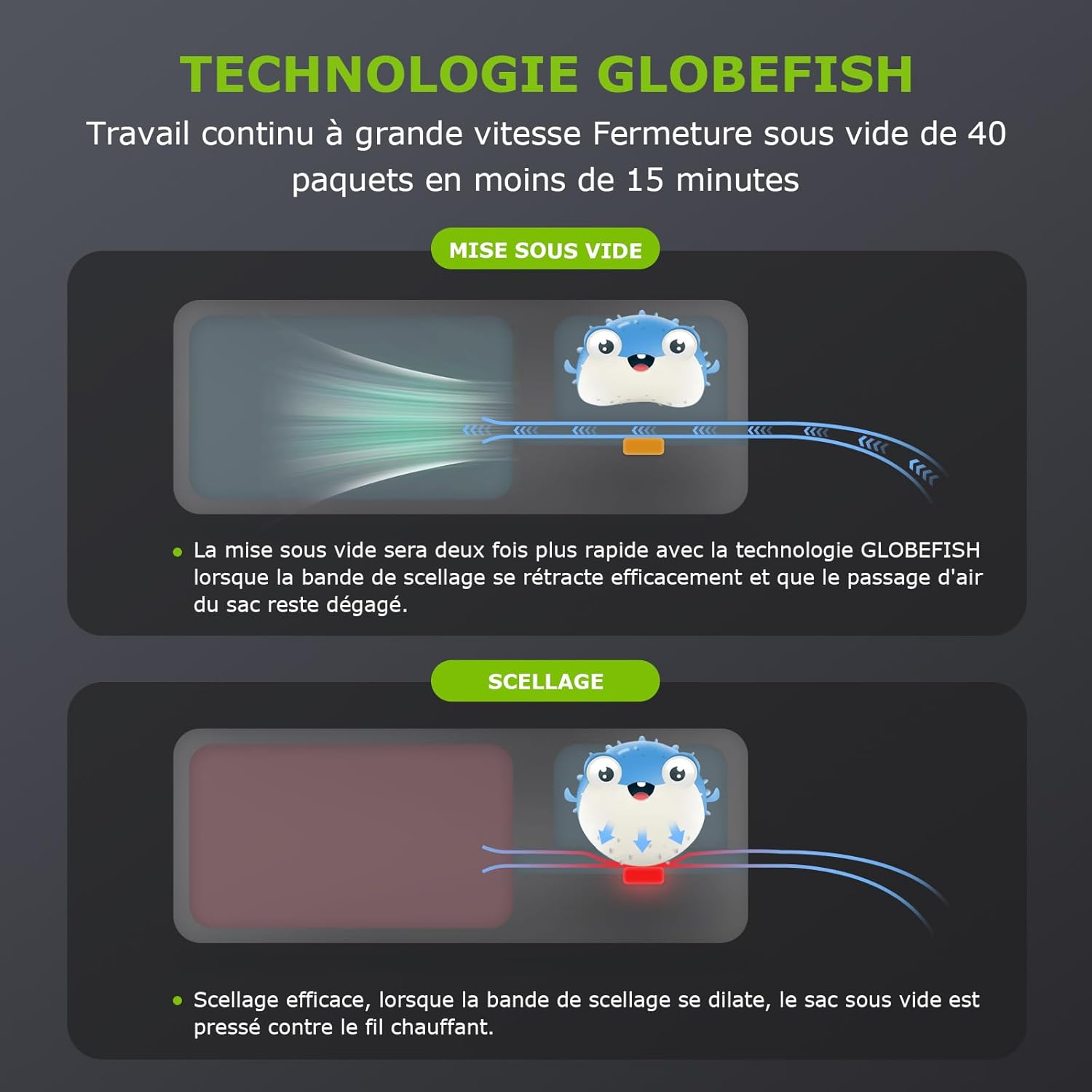 Bonsenkitchen - machine sous vide alimentaire compacte, 5 sacs inclus